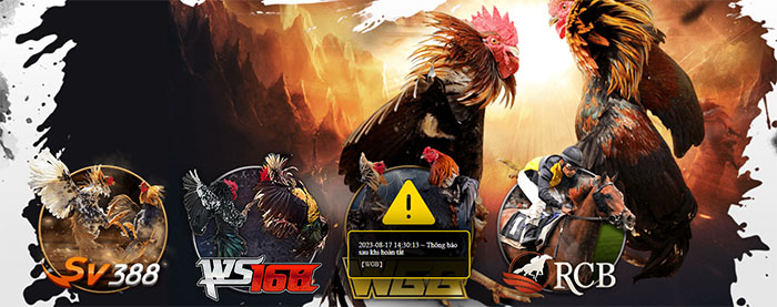 mạng tổng gà sv388 mạng tổng gà sv388