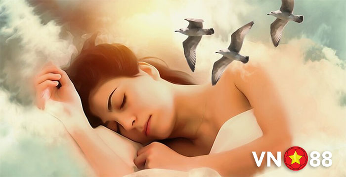 mơ thấy chim đánh con gì mơ thấy chim đánh con gì