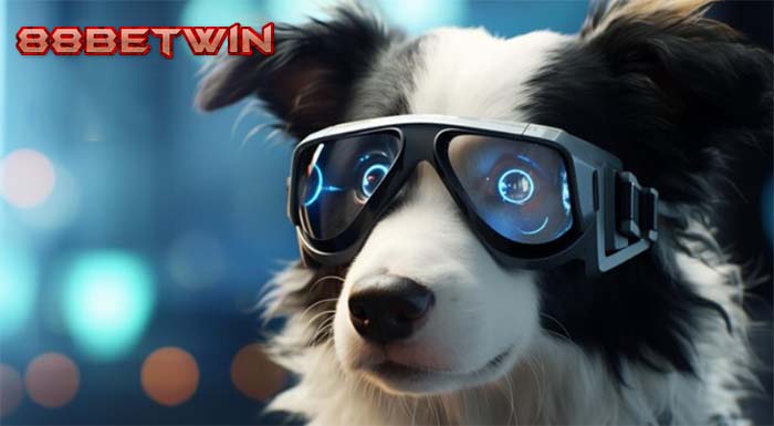 Cách chơi cá cược Đua Chó Ảo Cách chơi cá cược Đua Chó Ảo